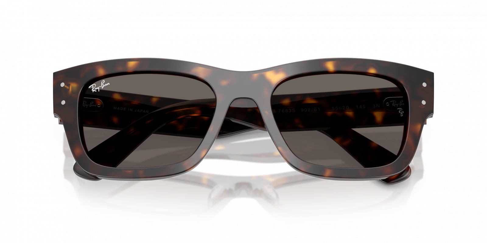 Ray Ban RB7683S 902/B1 Joseph 